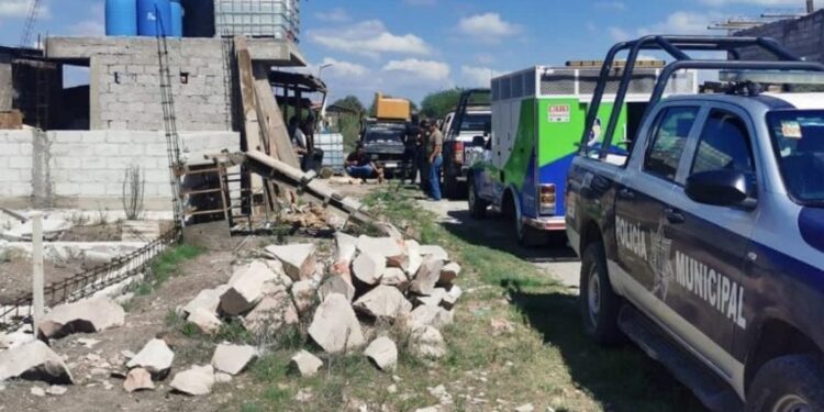 Detienen en Querétaro a hombre que mató de un balazo a un perrito